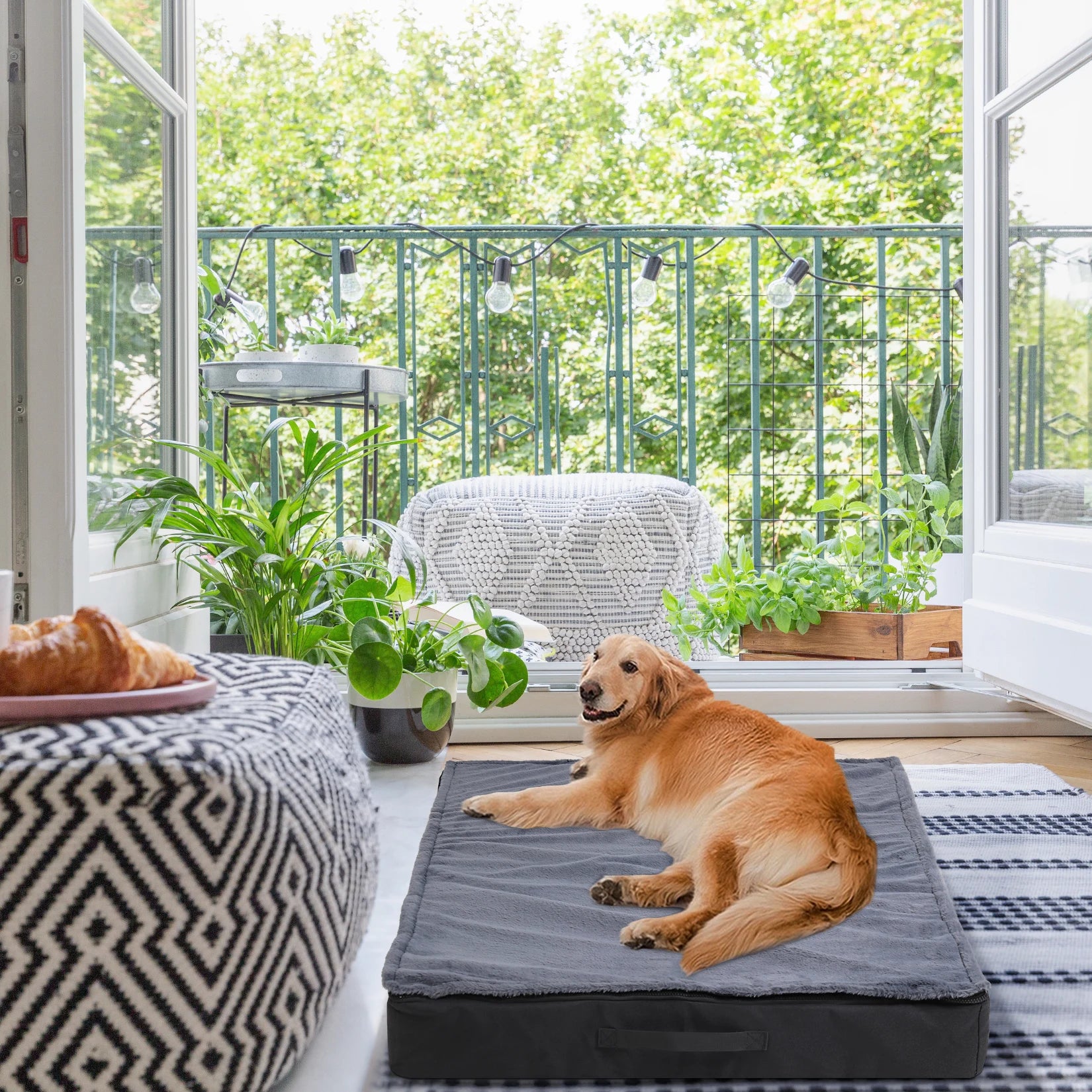 Orthopädisches Hundebett