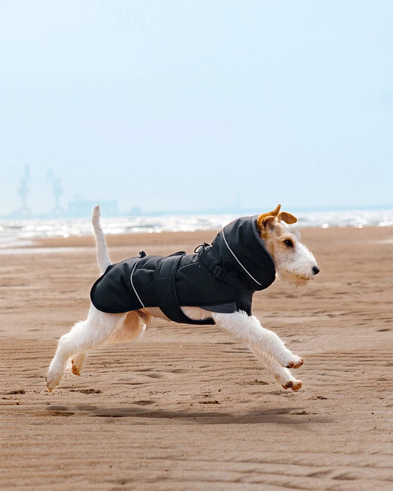 Winter-Hundemantel – warm, winddicht & mit Fleecefutter