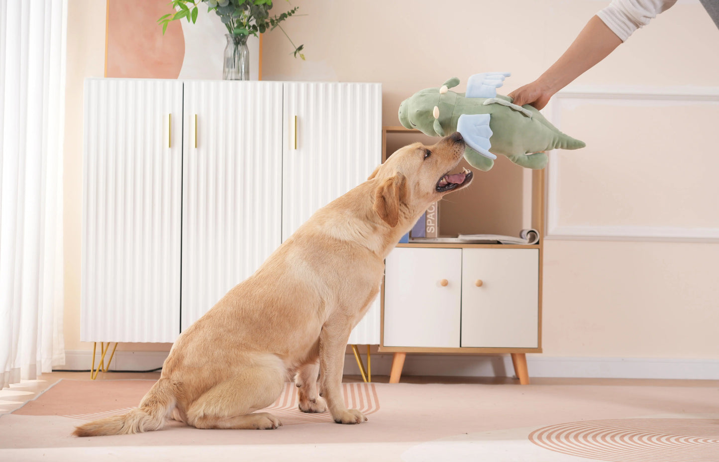 Detailaufnahme vom Herzschlag Hundespielzeug Drache aus Plüsch