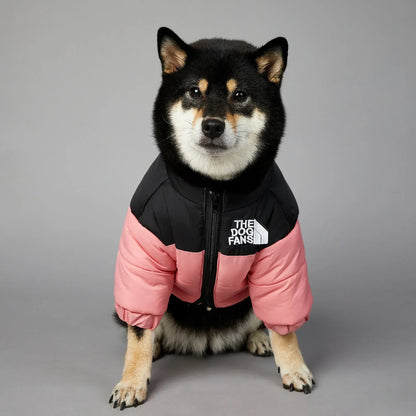 Hundejacke Winter „Puffer“ – warm, leicht, alltagstauglich