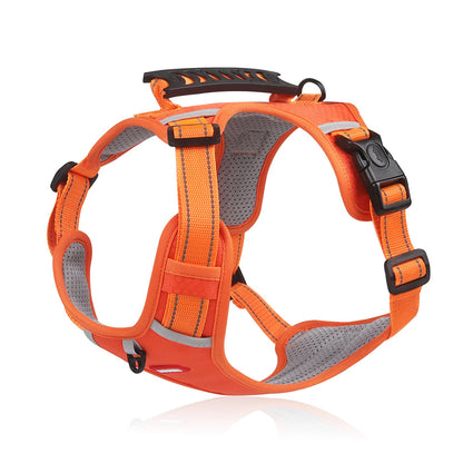 Hundegeschirr Buddy – Sicherheit trifft Komfort in seiner besten Form