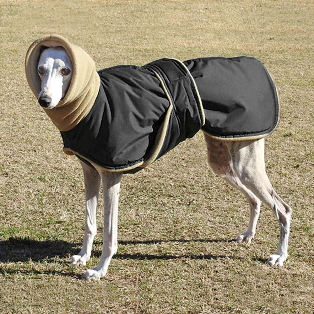 Hundemantel Winter gro  Bauchschutz & Fleecekragen | Eddy-Shop