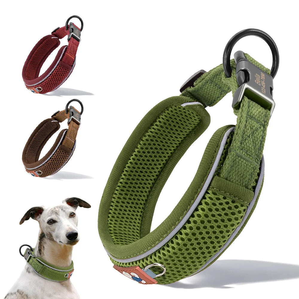 Personalisiertes Hundehalsband in Grün mit reflektierendem Streifen im eddy-shop.de