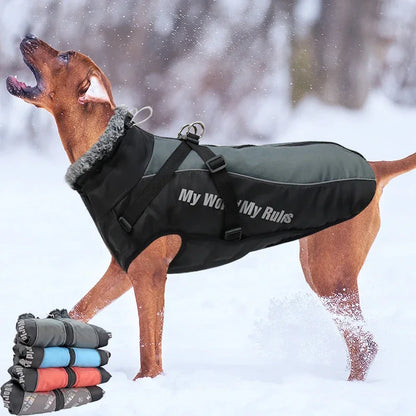Winter-Hundejacke mit Fellkragen und verdecktem Schnallenverschluss
