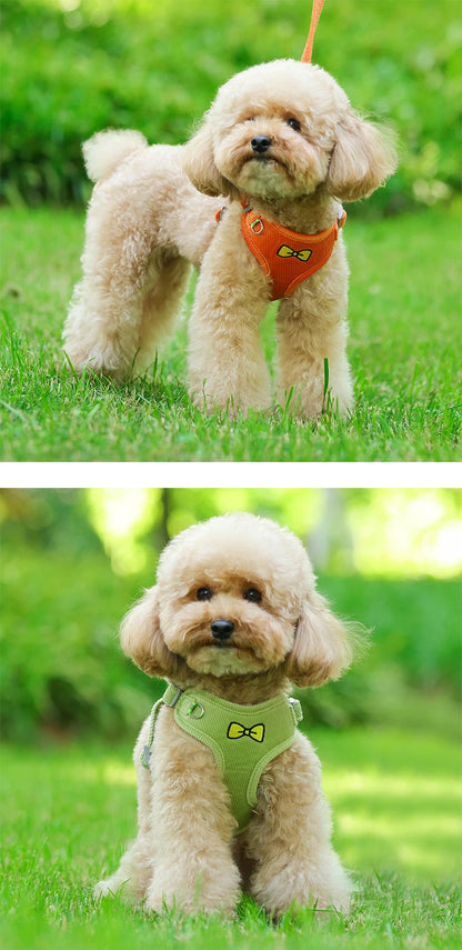 Elegantes Hundegeschirr mit Stickerei für Spaziergänge und Training eddy-shop.de