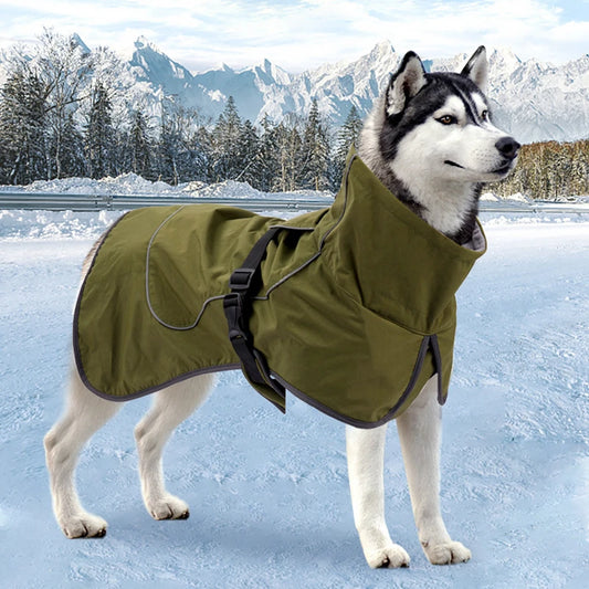 Hund trägt Wintermantel mit hoch schließendem Kragen beim Spaziergang im eddy-shop.de