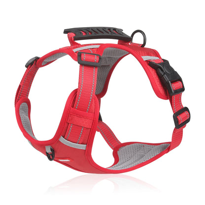Hundegeschirr Buddy – Sicherheit trifft Komfort in seiner besten Form