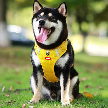 Hundegeschirr Buddy – Sicherheit trifft Komfort in seiner besten Form