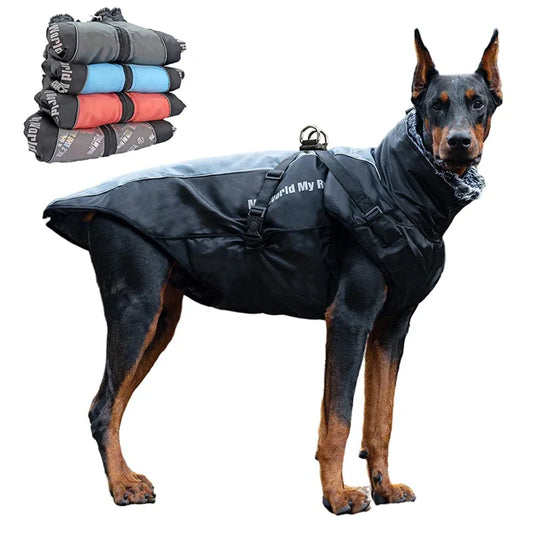 Hundemantel mit integriertem Geschirr und reflektierendem Streifen. eddy-shop.de