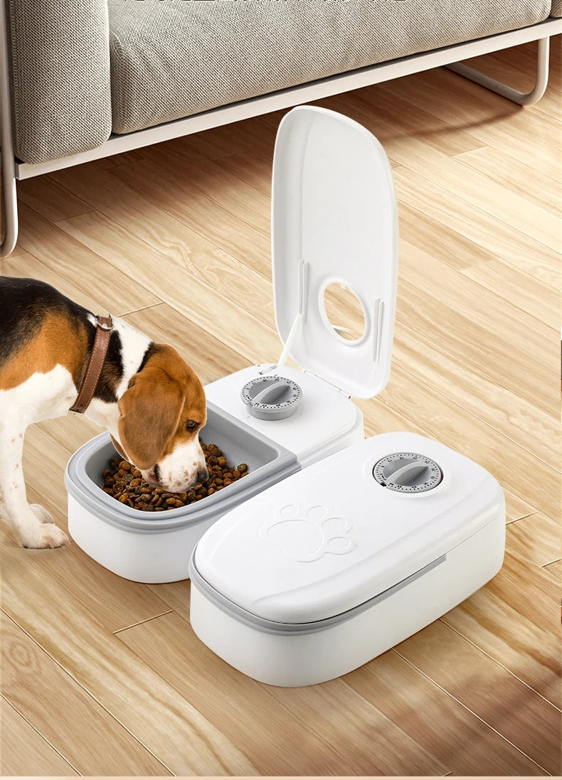 Automatischer Futterspender für Hunde mit zwei Fächern für planbare Mahlzeiten zuhause im Eddy Shop
