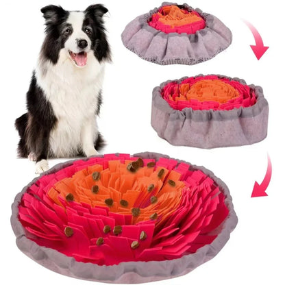 Schnüffelmatte für Hunde