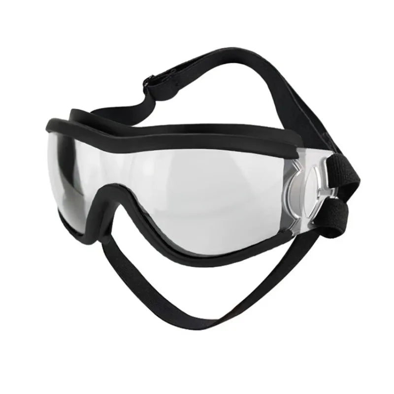 Hundebrille für kleine Hunde eddy-shop.de