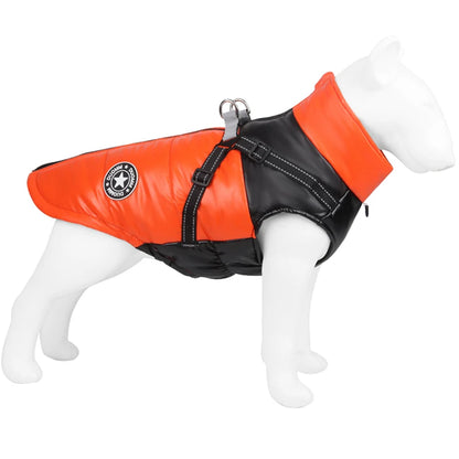 Winter Hundemantel – Wärmeschutz für Ihren Hund
