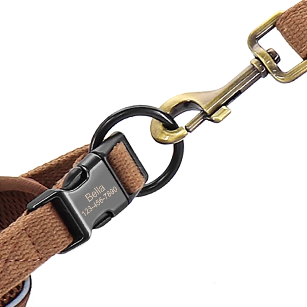 Hundehalsband mit Leinenring und stabiler Befestigung