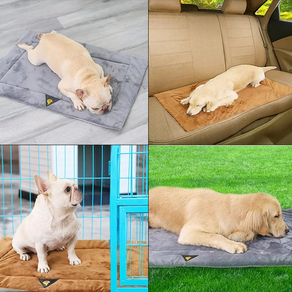 Wärmedecke für Hunde