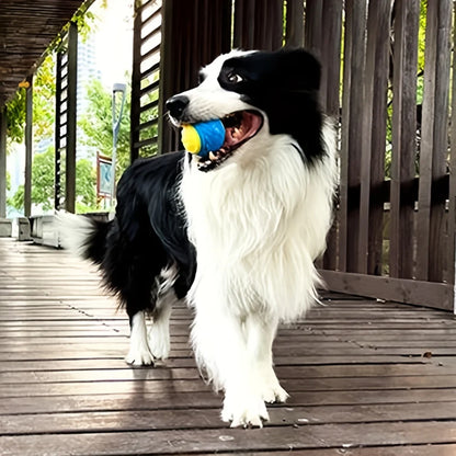 Hund mit Ball im Maul 