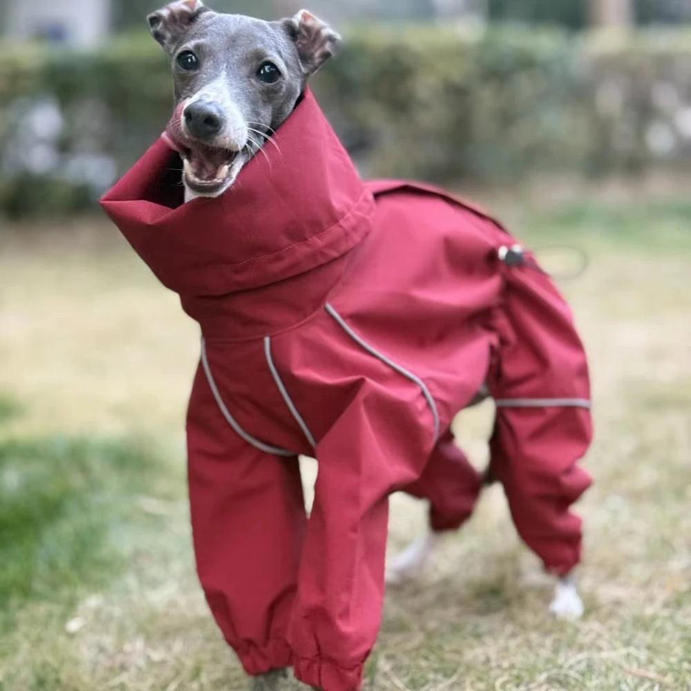 Hundewinteroverall in Rot – wasserdicht und reflektierend beim Spaziergang
 eddy-shop.de