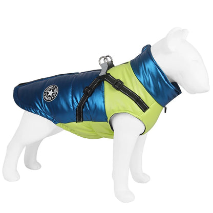 Winter Hundemantel – Wärmeschutz für Ihren Hund