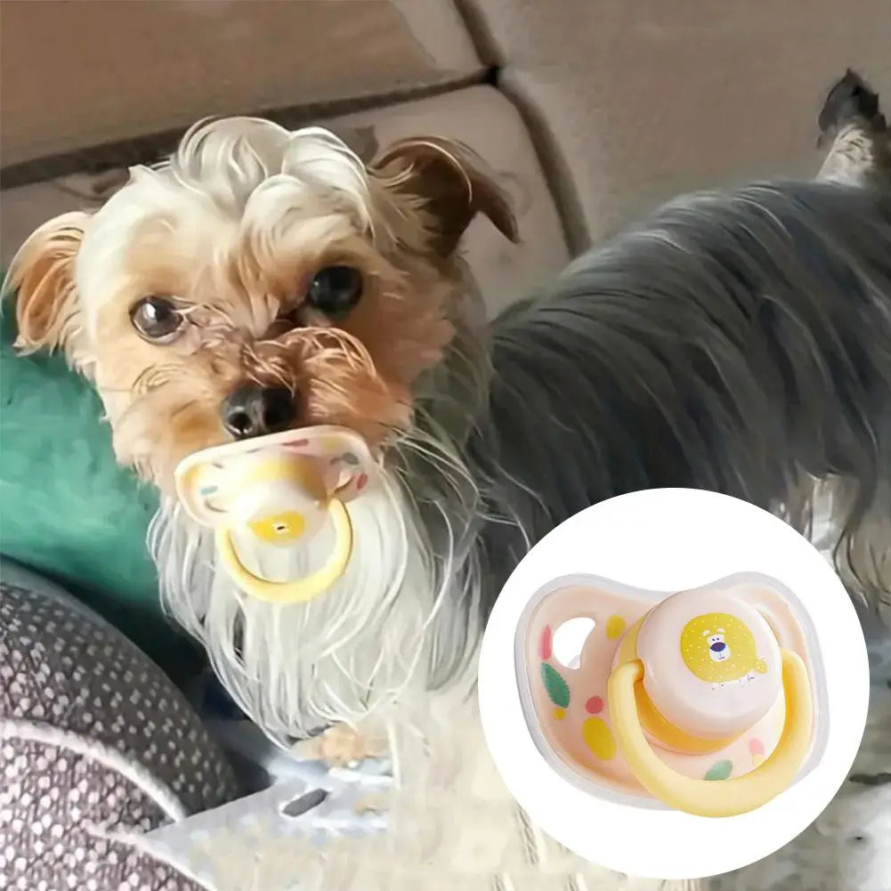 Für Ihren Hund - beruhigender Schnuller jetzt im eddy-shop kaufen 