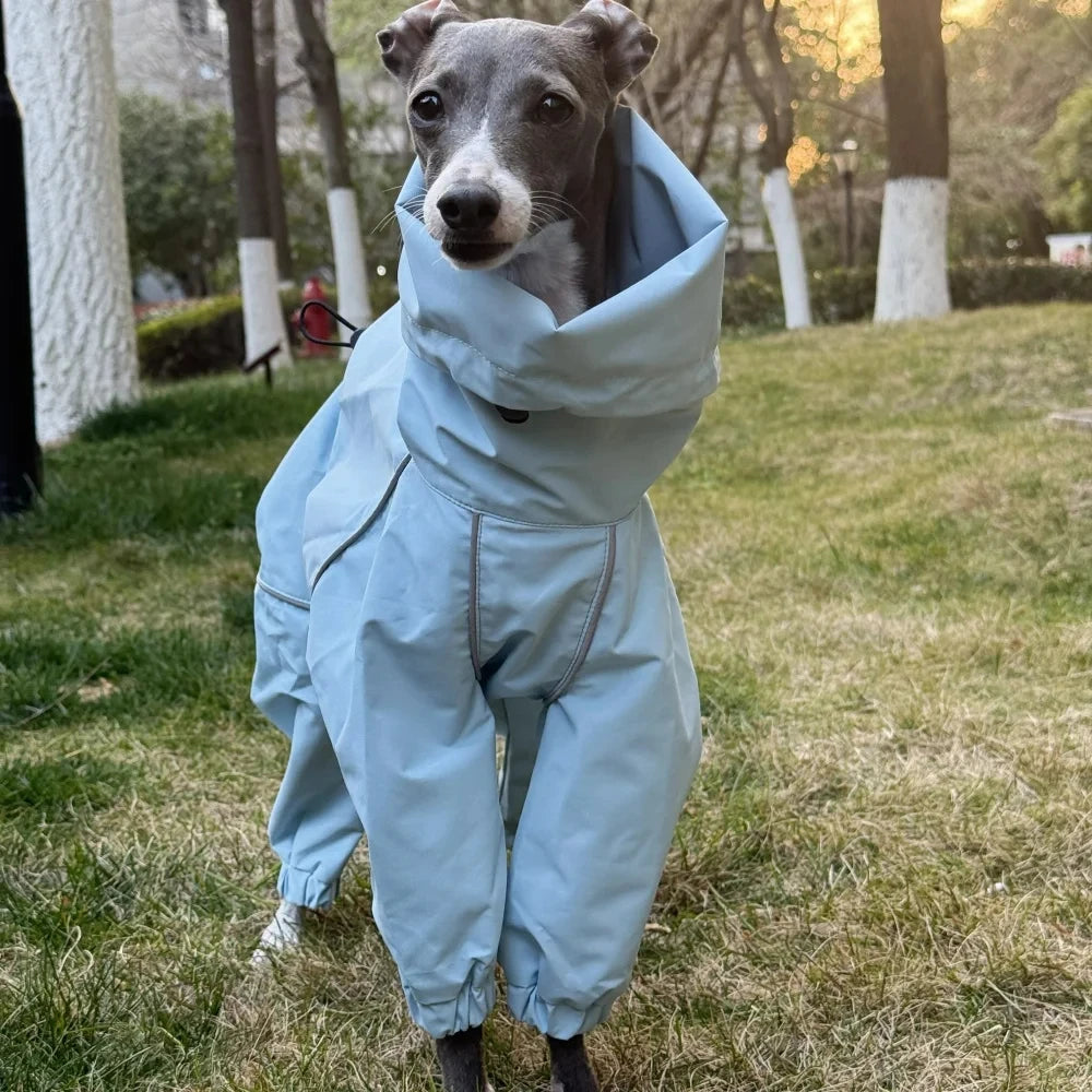 Wind- und wasserdichter Hundewinteroverall in sportlichem Design