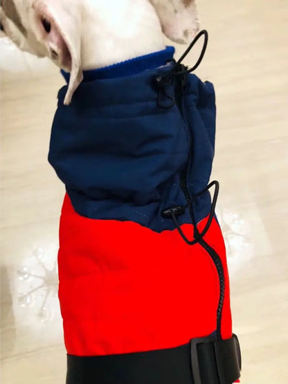 Verstellbarer Bauchgurt mit Klickverschluss für sicheren Sitz des Hundemantels