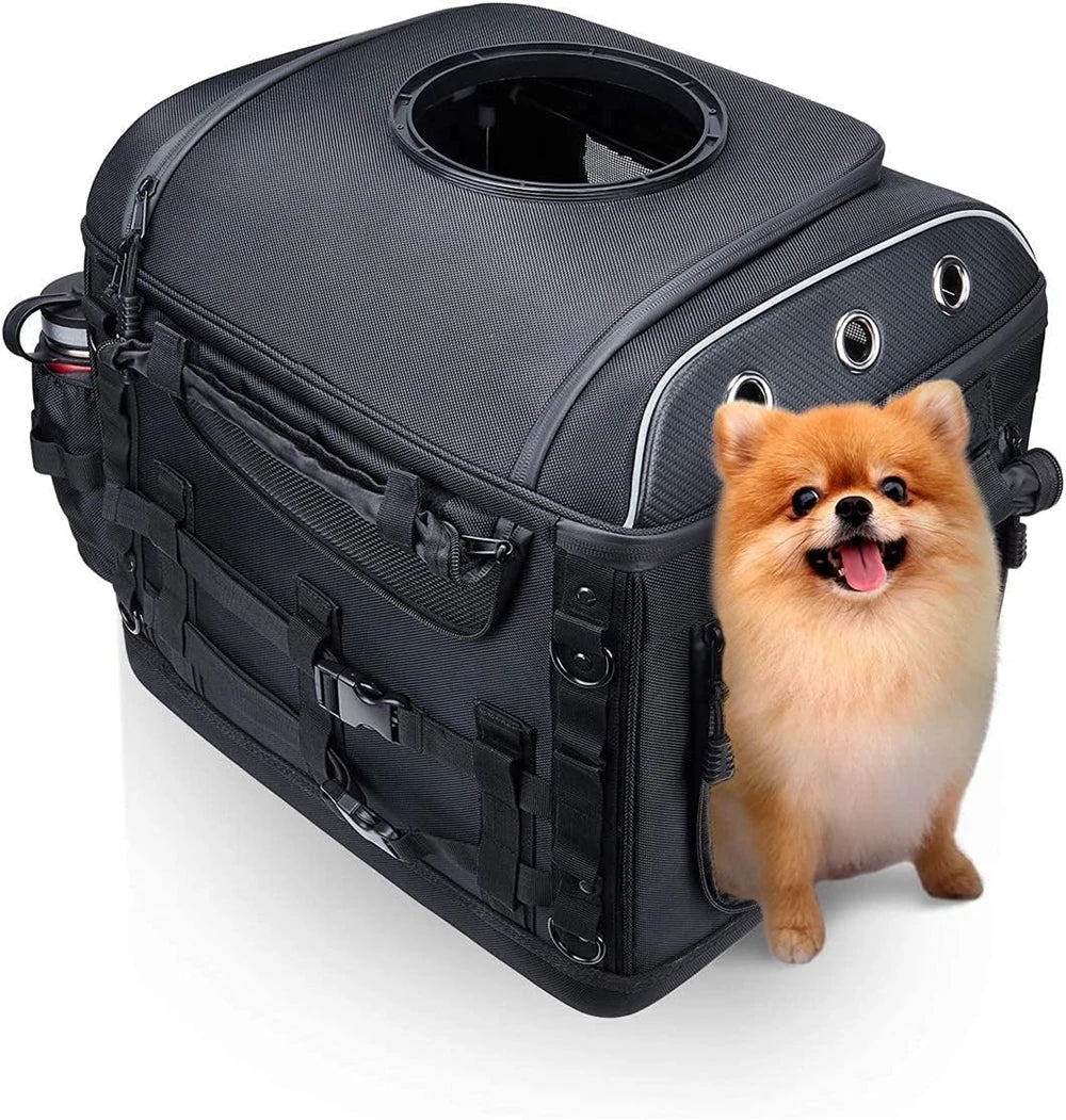 KEMIMOTO Motorrad-Hundetasche mit kleinem Hund daneben