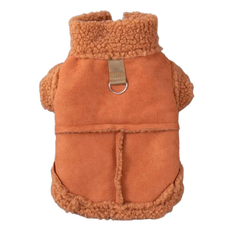 Stylische Hundebekleidung mit Wrmefaktor | Eddy Shop
