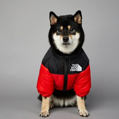 Hundejacke Winter „Puffer“ – warm, leicht, alltagstauglich