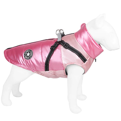 Winter Hundemantel – Wärmeschutz für Ihren Hund