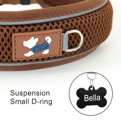 Hundehalsband mit Leinenring und stabiler Befestigung