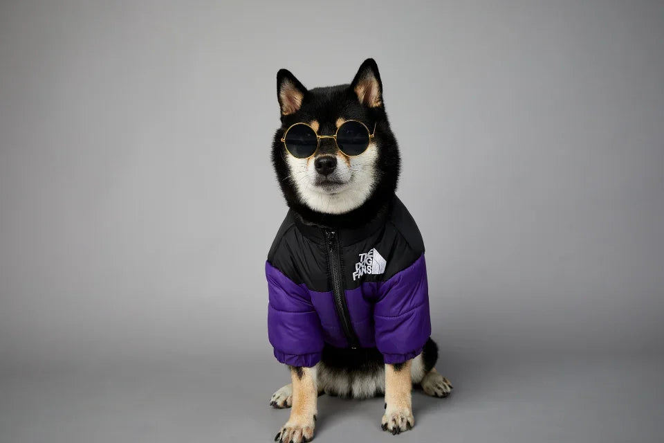 Hundejacke Winter „Puffer“ – warm, leicht, alltagstauglich