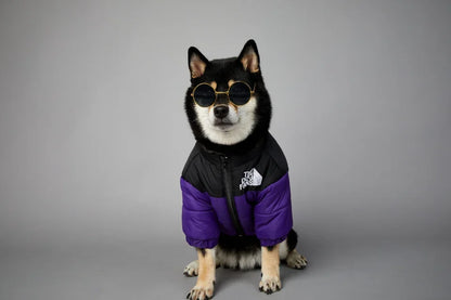 Hundejacke Winter „Puffer“ – warm, leicht, alltagstauglich