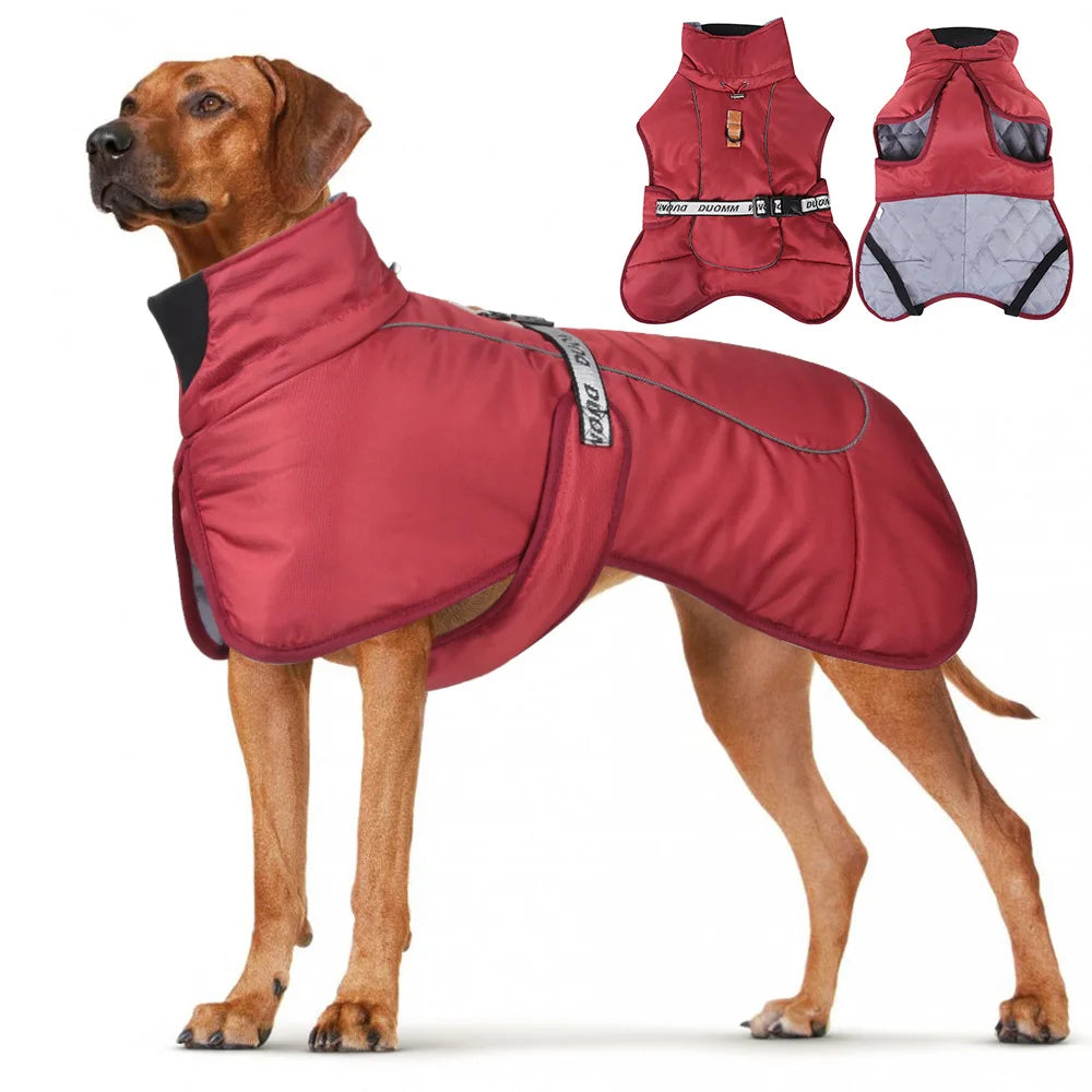 Burgunderrote Winter-Hundejacke am Hund, hoher winddichter Kragen, reflektierende Paspel, verstellbarer Bauch.  im eddy-shop.de