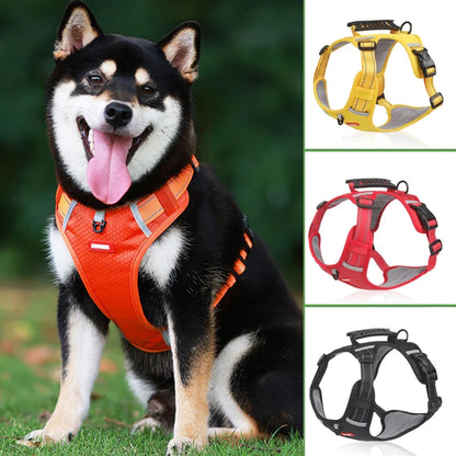 Hundegeschirr Buddy – Sicherheit trifft Komfort in seiner besten Form