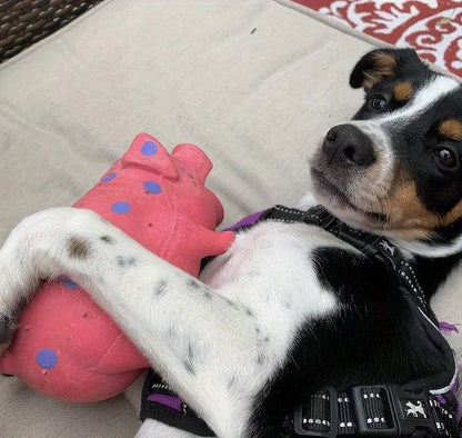 Hundespielzeug Bertie das Knautschschwein  – Knautschen, Quieken & Spielen