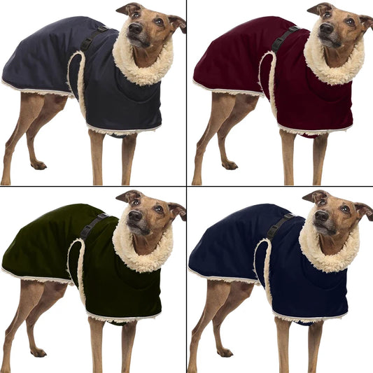 Windhund Jacke Farbübersicht der Jacke: Schwarz, Armeegrün, Dunkelblau und Weinrot. im eddy-shop.de
