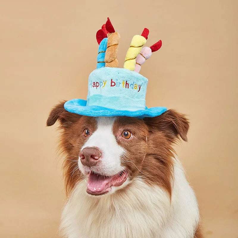 Hund mit Partyhut Bello – Stilvoll feiern wie die Großen