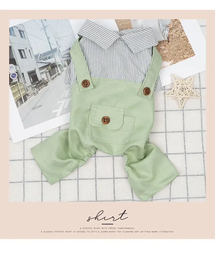 Grüner Hundeoverall mit Latzdesign, Streifenkragen und Knöpfen – Hundebekleidung für kleine Hunde, flach ausgelegt im eddy-shop.de