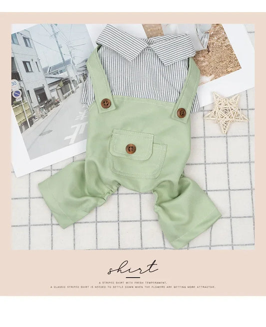 Grüner Hundeoverall mit Latzdesign, Streifenkragen und Knöpfen – Hundebekleidung für kleine Hunde, flach ausgelegt im eddy-shop.de