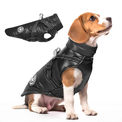 Winter Hundemantel – Wärmeschutz für Ihren Hund