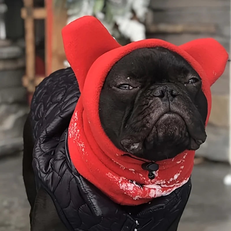 Französische Bulldogge mit Winter-Hundekapuze in Rot, Nahaufnahme
