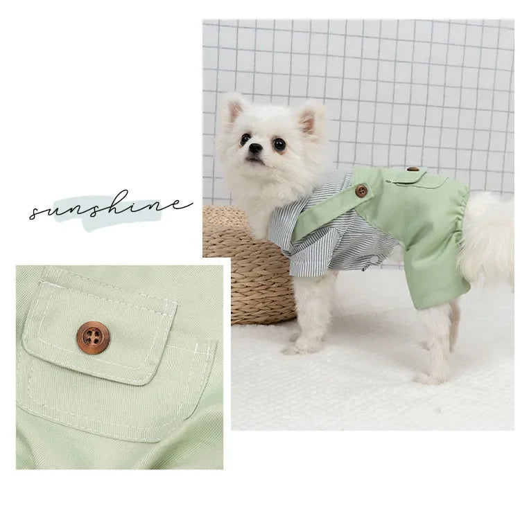 Grüner Hundeoverall mit aufgesetzter Tasche am Modellhund – modischer Look für kleine Rassen