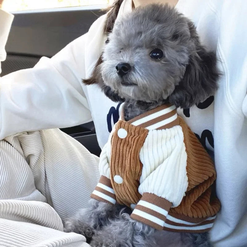 Hundemantel | klein Baseball-Stil