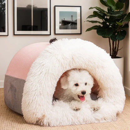 Wenn Ihr Hund Geborgenheit sucht. eddy shop 