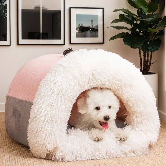 Wenn Ihr Hund Geborgenheit sucht. eddy shop 