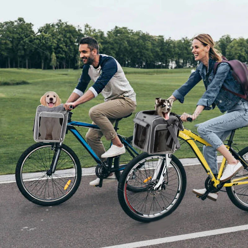 Hunde Fahrradkorb in Aktion in voller Fahrt