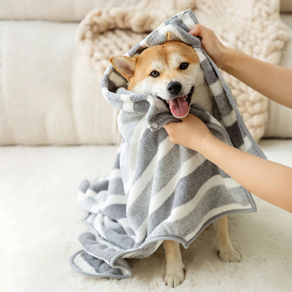 Hund wird mit schnell trocknendem Hundehandtuch abgetrocknet