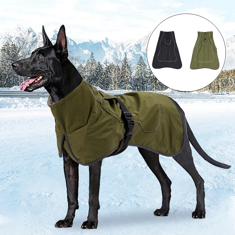 Winter-Hundemantel mit Bauchschutz und Reflektoren in Nahaufnahme