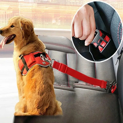 Der perfekte Sicherheitsgurt für Ihren Hund – Sicher & komfortabel auf jeder Fahrt!