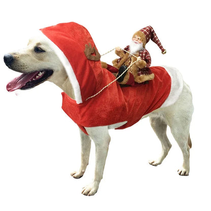 Weißer Hund verkleidet als Weihnachtsmann – Weihnachts-Outfit für Hunde
